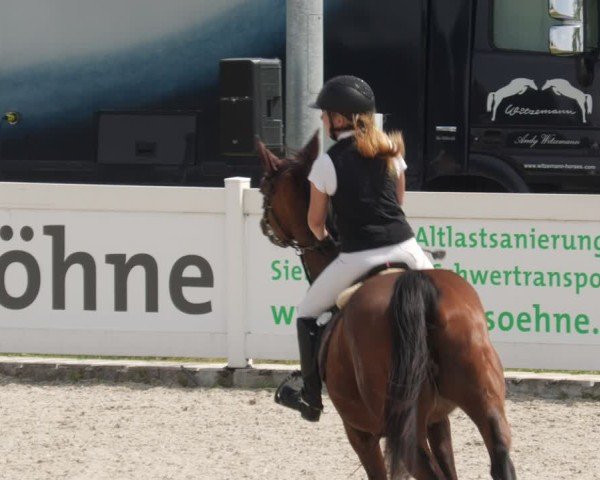 Reitturnier Babenhausen/Schw. 2025