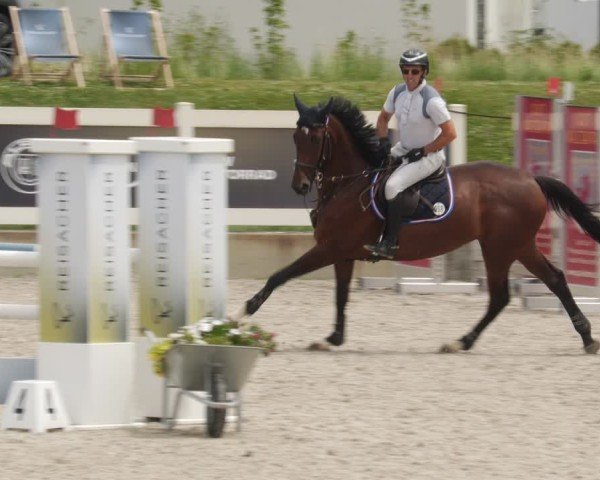 Reitturnier Babenhausen/Schw. 2025