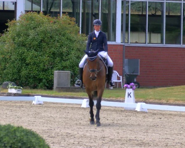 Reitturnier Langenfeld 2025