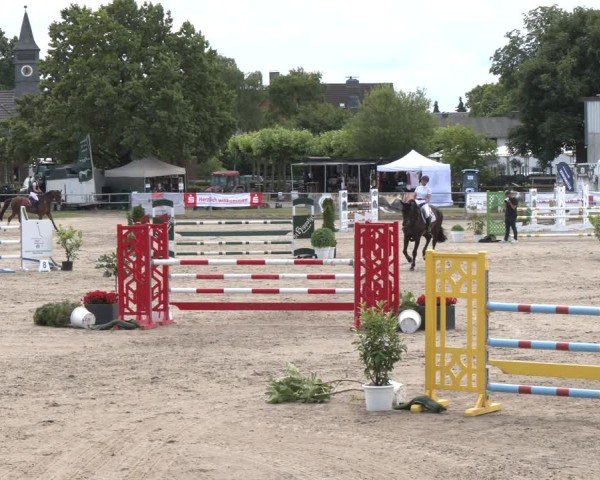Reitturnier Langenfeld 2025