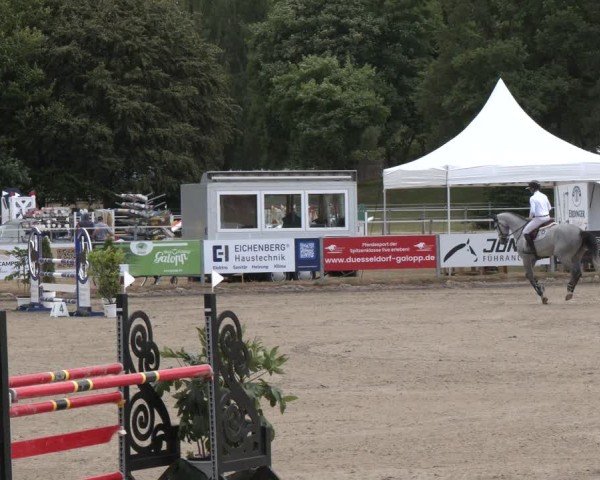 Reitturnier Langenfeld 2025