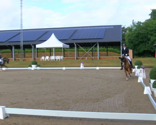 Reitturnier Langenfeld 2025