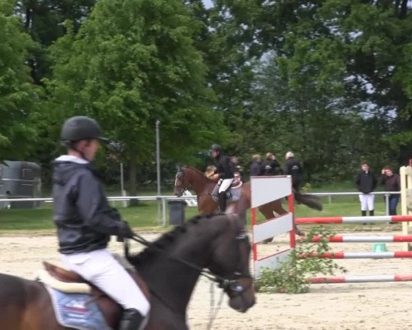 Coesfelder Reitertage 2014