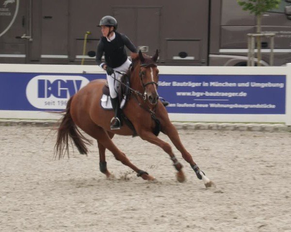 Reitturnier Babenhausen/Schw. 2025