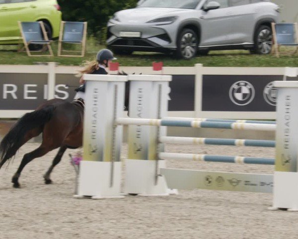 Reitturnier Babenhausen/Schw. 2025