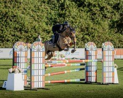 jumper Soretta vd Bisschop (Belgian Warmblood, 2018, from Vagabond de la Pomme)