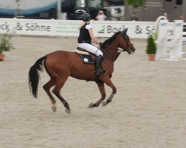 Reitturnier Babenhausen/Schw. 2025