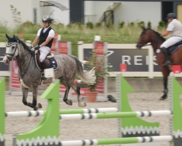 Reitturnier Babenhausen/Schw. 2025