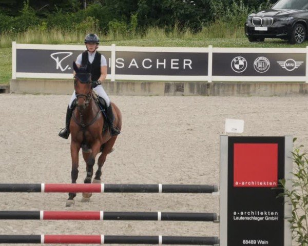 Reitturnier Babenhausen/Schw. 2025