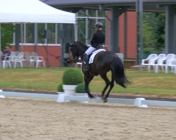 Reitturnier Langenfeld 2025