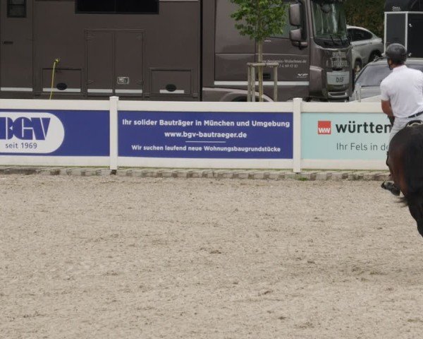 Reitturnier Babenhausen/Schw. 2025
