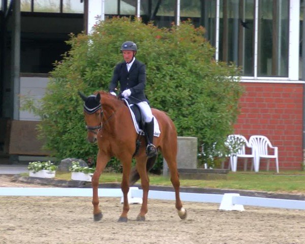 Reitturnier Langenfeld 2025