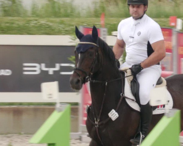 Reitturnier Babenhausen/Schw. 2025