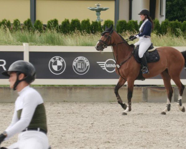 Reitturnier Babenhausen/Schw. 2025
