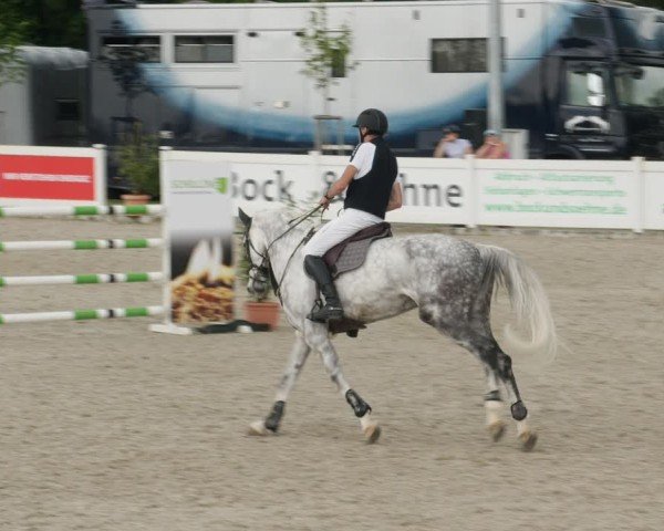 Reitturnier Babenhausen/Schw. 2025