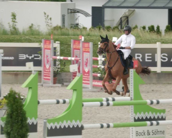 Reitturnier Babenhausen/Schw. 2025