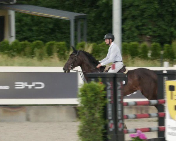 Reitturnier Babenhausen/Schw. 2025