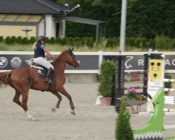 Reitturnier Babenhausen/Schw. 2025