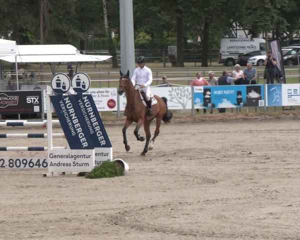 Reitturnier Langenfeld 2025