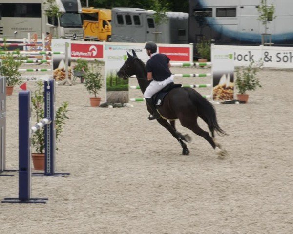 Reitturnier Babenhausen/Schw. 2025