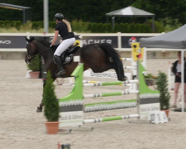 Reitturnier Babenhausen/Schw. 2025