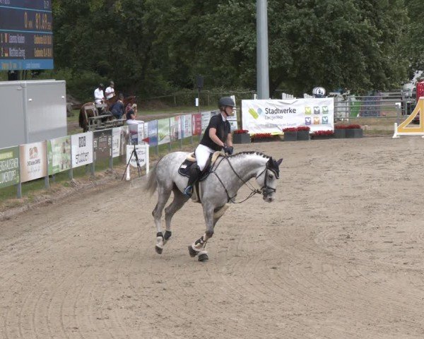 Reitturnier Langenfeld 2025