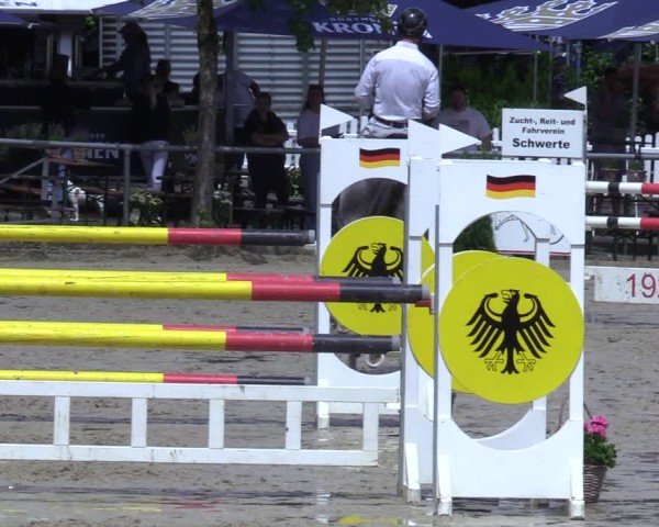 Reitturnier Schwerte-Gut Kückshausen 2025