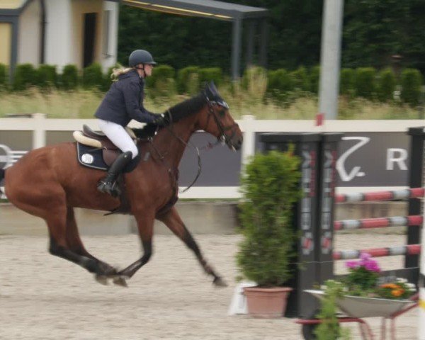 Reitturnier Babenhausen/Schw. 2025