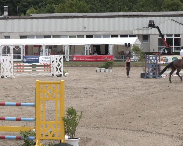 Reitturnier Langenfeld 2025