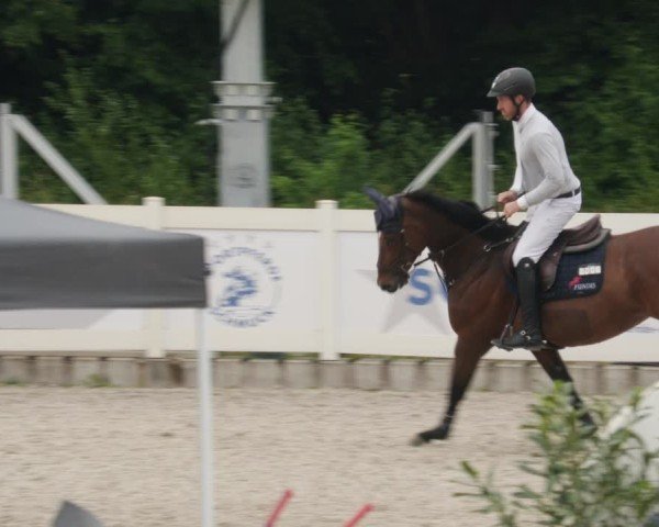 Reitturnier Babenhausen/Schw. 2025