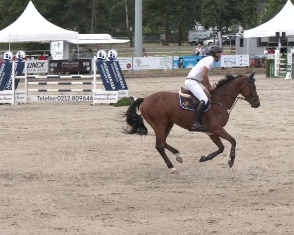 Reitturnier Langenfeld 2025
