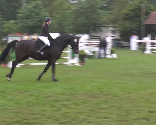 Großes Reit- und Springturnier Lienen 2014