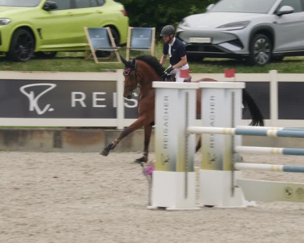 Reitturnier Babenhausen/Schw. 2025