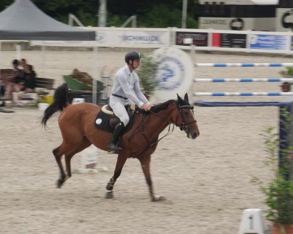 Reitturnier Babenhausen/Schw. 2025
