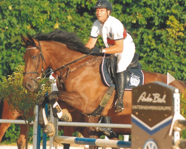 jumper Stevie Ray (KWPN (Royal Dutch Sporthorse), 2007, from Samorano)