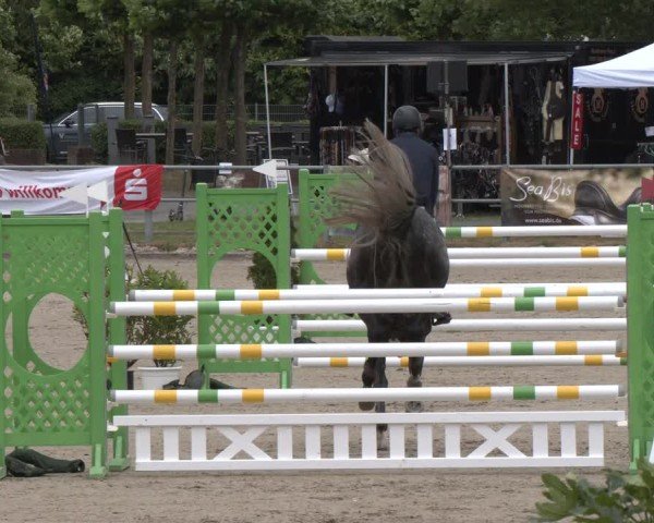 Reitturnier Langenfeld 2025