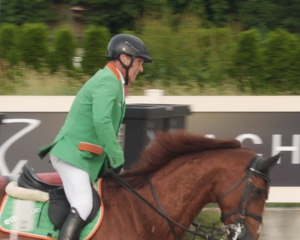 Reitturnier Babenhausen/Schw. 2025