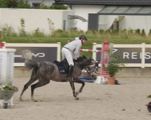 Reitturnier Babenhausen/Schw. 2025