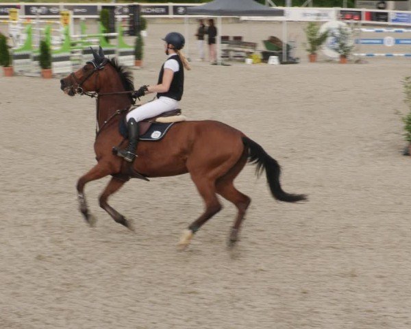 Reitturnier Babenhausen/Schw. 2025