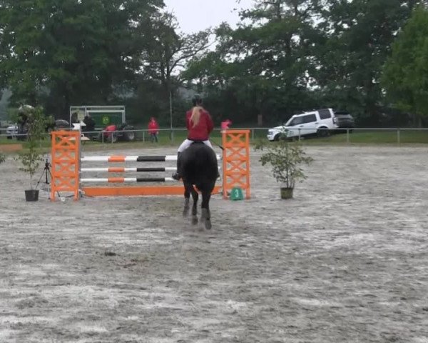 Coesfelder Reitertage 2014