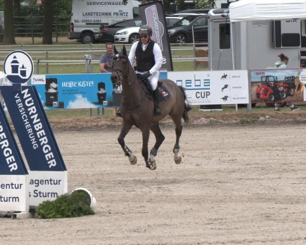Reitturnier Langenfeld 2025
