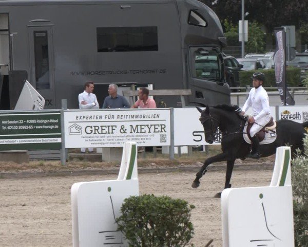 Reitturnier Langenfeld 2025