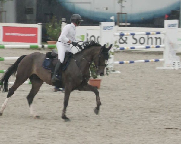Reitturnier Babenhausen/Schw. 2025