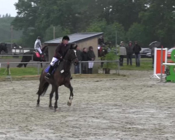 Coesfelder Reitertage 2014