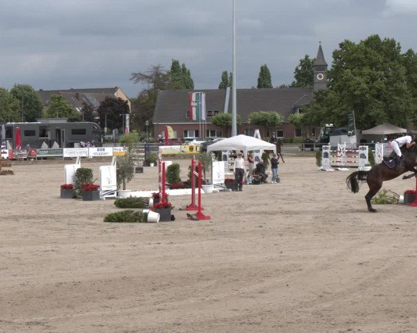 Reitturnier Langenfeld 2025
