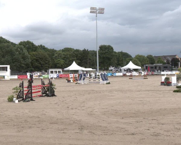 Reitturnier Langenfeld 2025