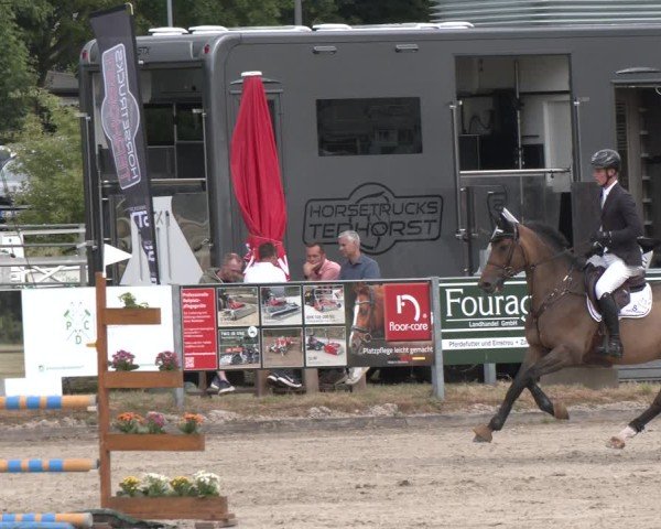Reitturnier Langenfeld 2025