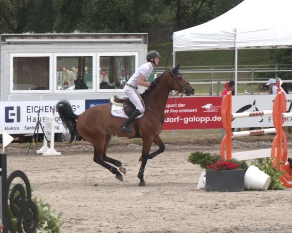 Reitturnier Langenfeld 2025