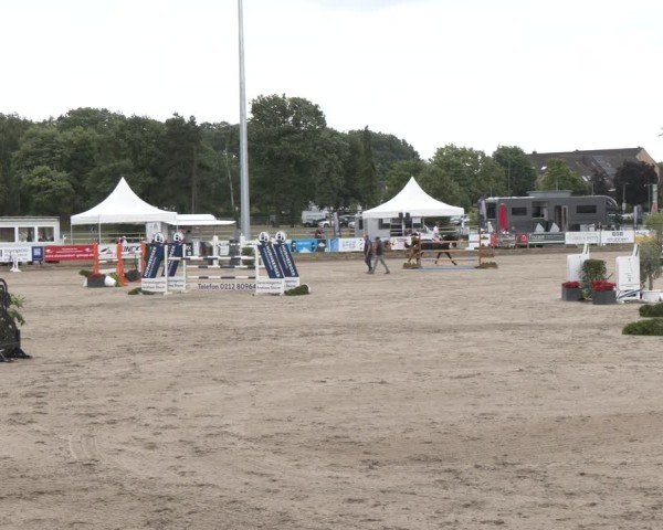 Reitturnier Langenfeld 2025