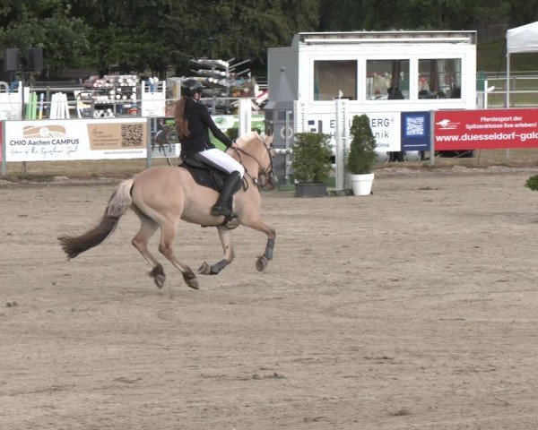 Reitturnier Langenfeld 2025